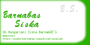 barnabas siska business card